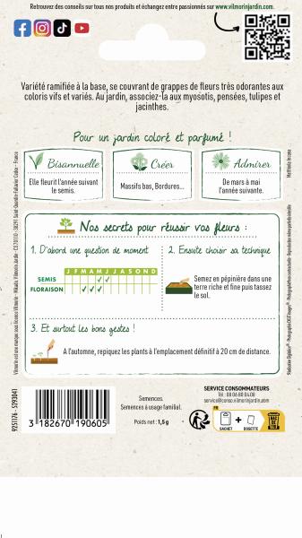 Fleurs - Giroflée Ravenelle Simple Variée - MEDIA_PACKAGING_VERSO